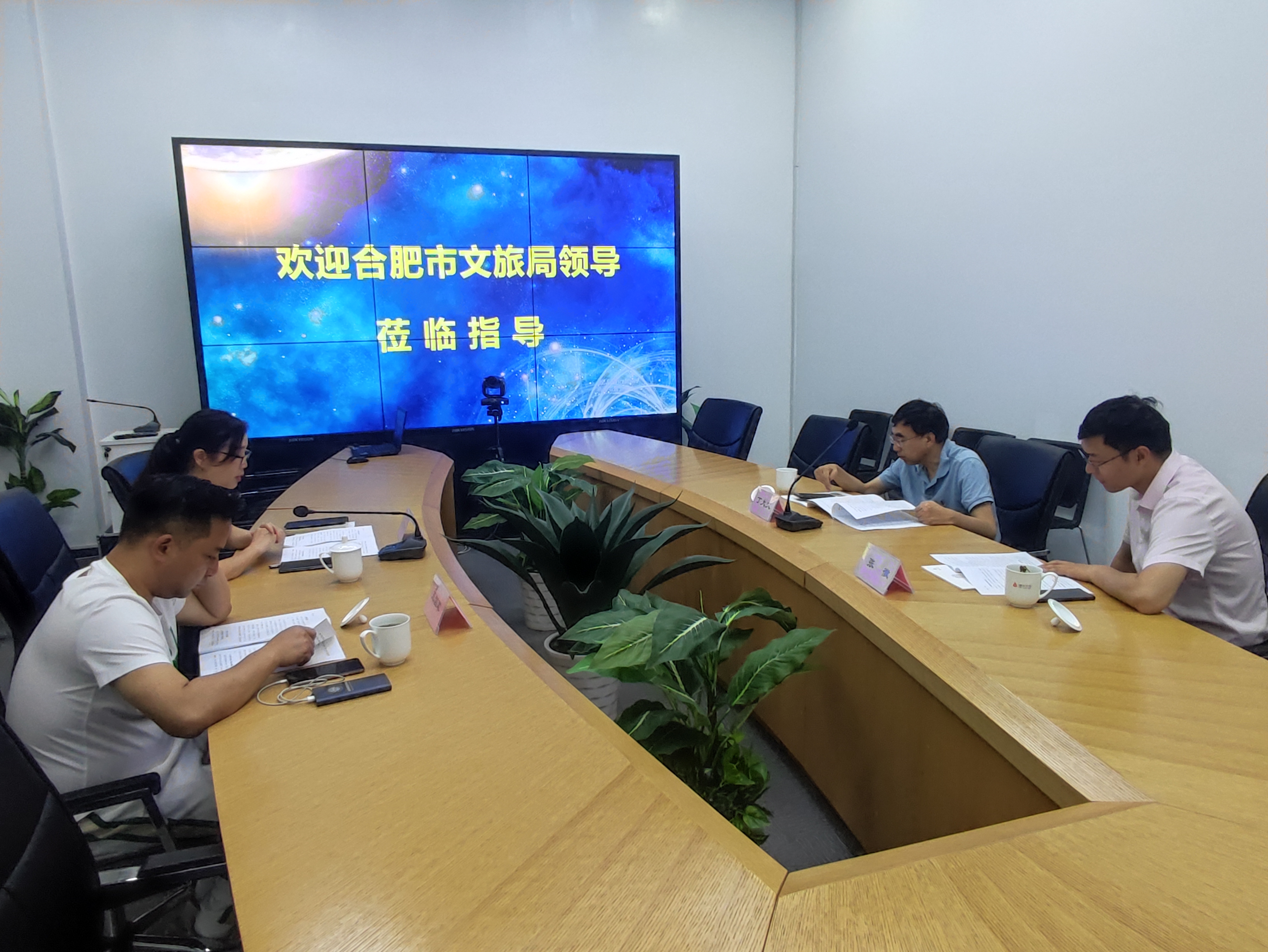 合肥市文化旅游局丁大文处长一行莅临Z6尊龙凯时文创集团调研
