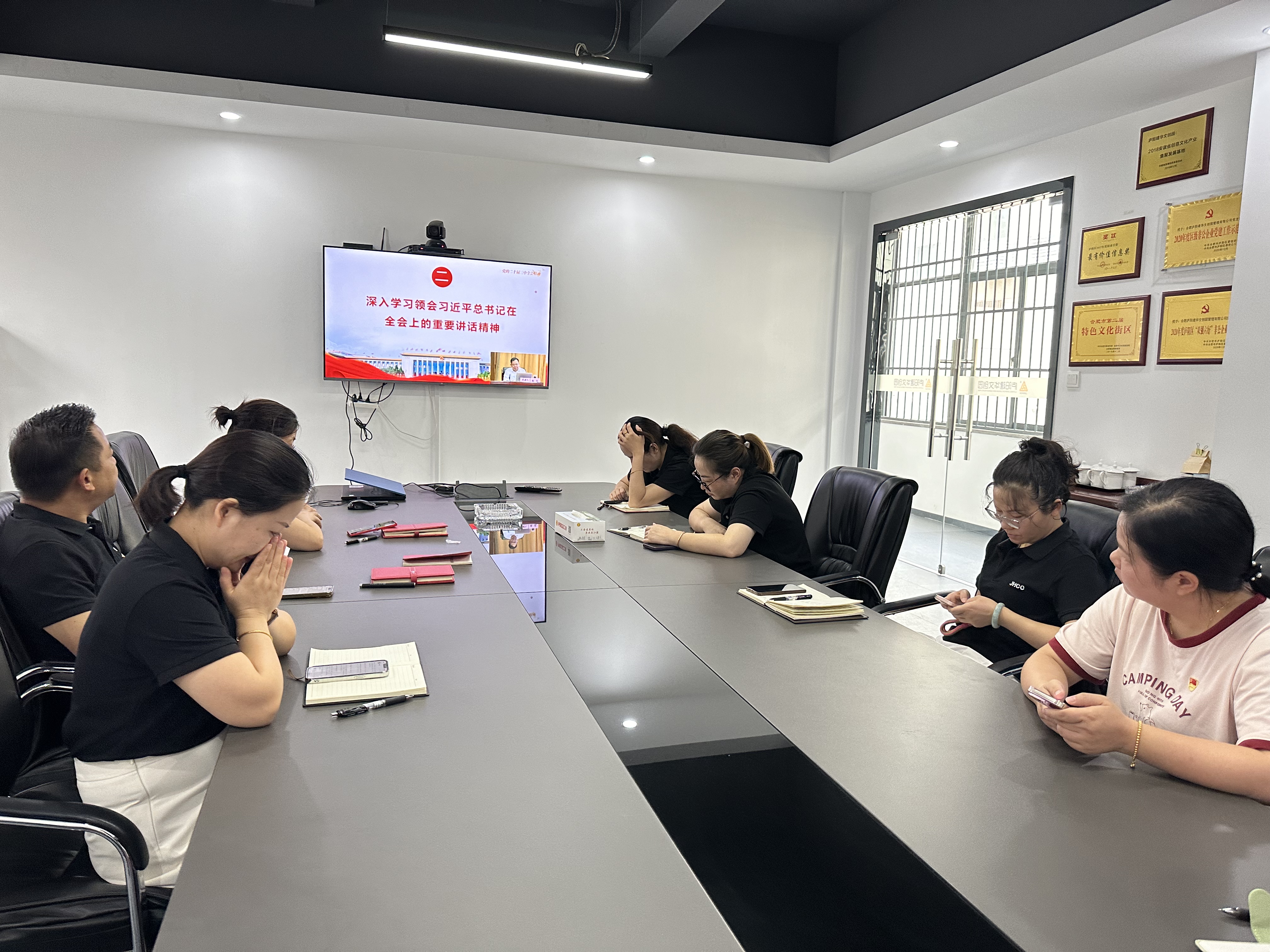 庐阳Z6尊龙凯时文创园党支部积极组织收看“举旗帜·送理论”精神示范宣讲活动