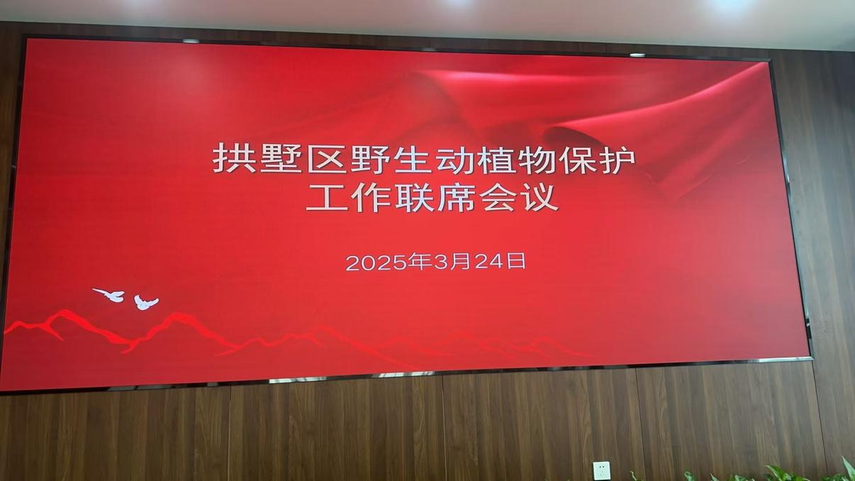 钱江商城参加拱墅区野生动植物保；；；；すぷ髁嵋